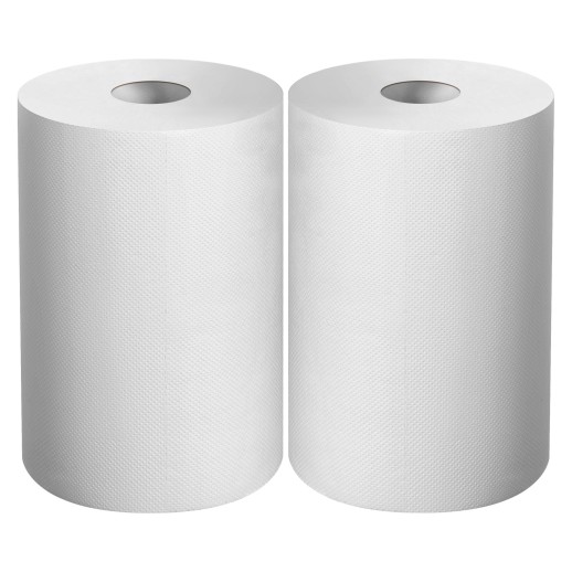 ЗУБР 20 х 25 см, 2-х слойная, в рулоне, 400 листов, 2 рулона, протирочная бумага, Профессионал (12822-20)