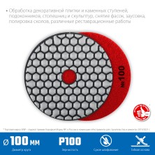 ЗУБР 100 мм, №100, сухое шлифование, алмазный гибкий шлифовальный круг АГШК, Профессионал (29868-100)